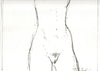 Zhivko Ladies 25 - Sedlarski.art