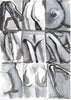 Zhivko Ladies 43 - Sedlarski.art